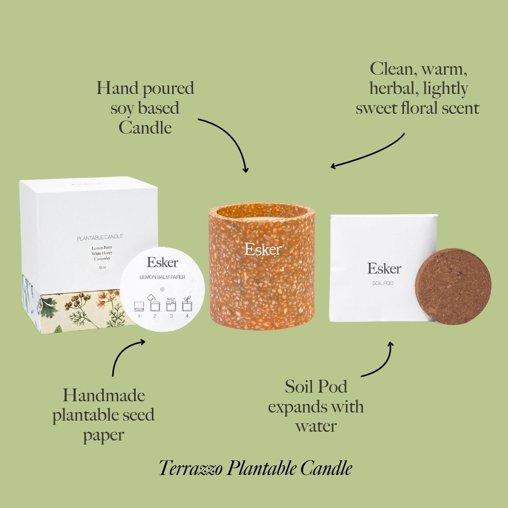 The Cozy Duo - Esker