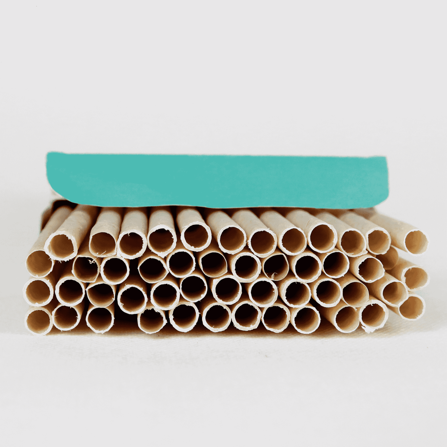 Coconut Drinking Straws by EQUO