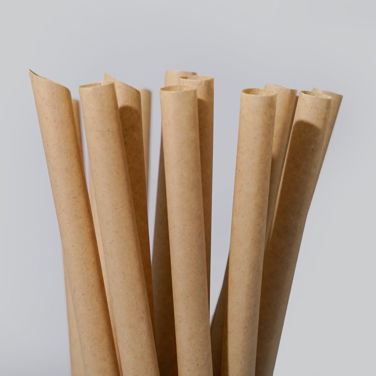 Sugarcane Drinking Straws by EQUO