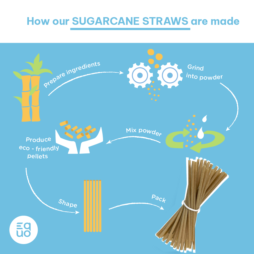 Sugarcane Drinking Straws (Wholesale/Bulk), Standard Size - 1000 count by EQUO