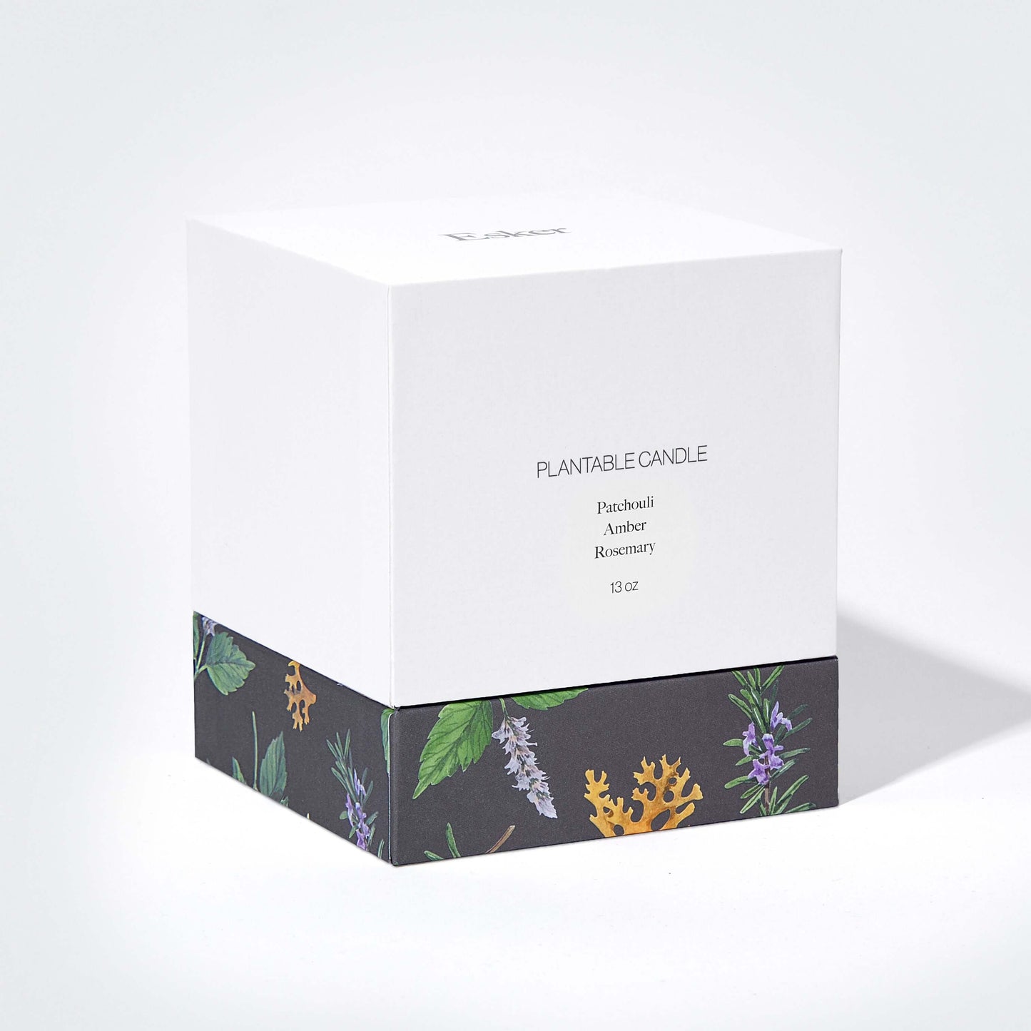 Travertine Plantable Candle - Esker