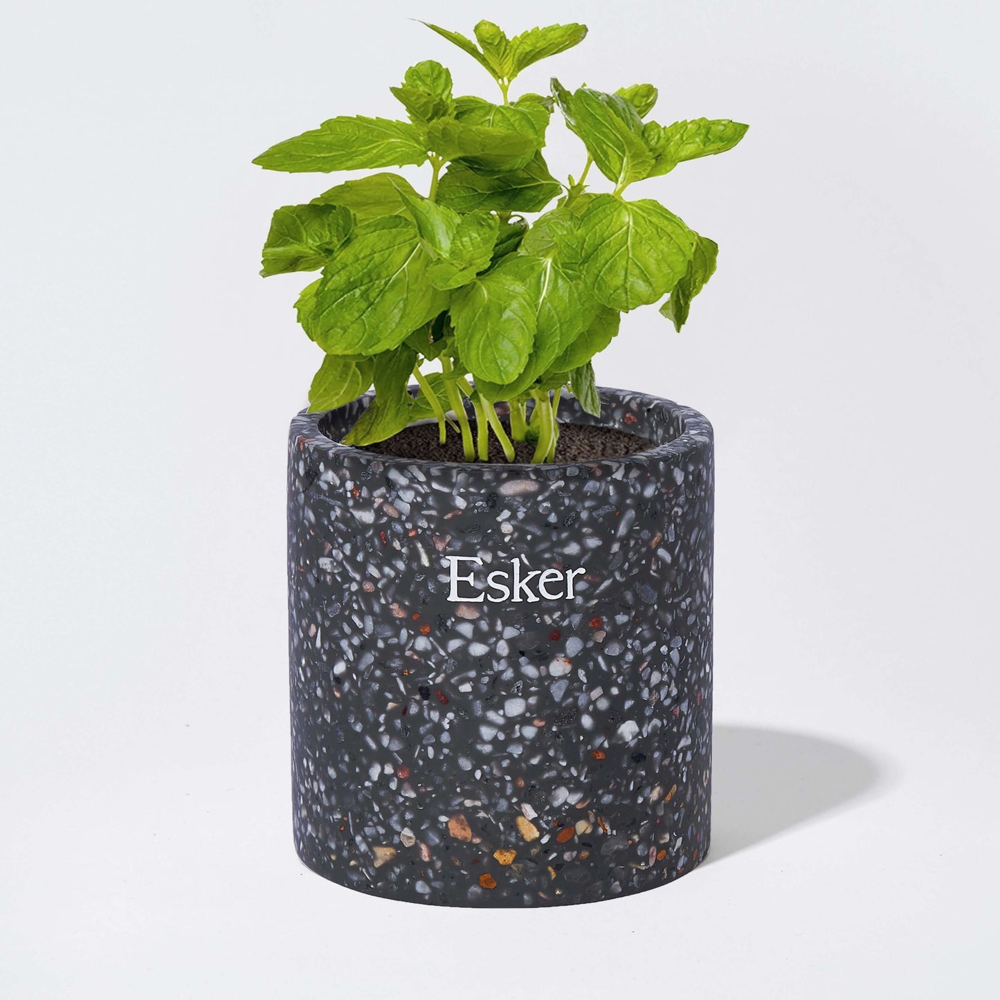 Travertine Plantable Candle - Esker