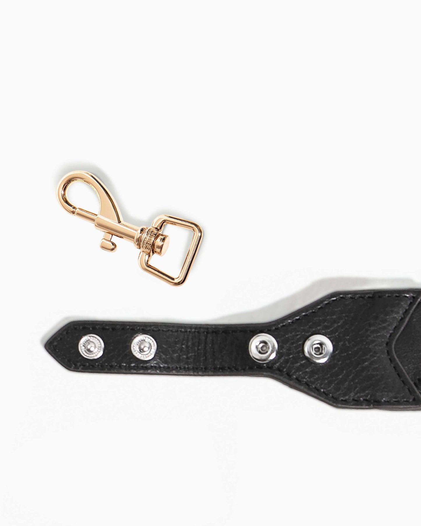 Dog Clip Set by Aimee Kestenberg