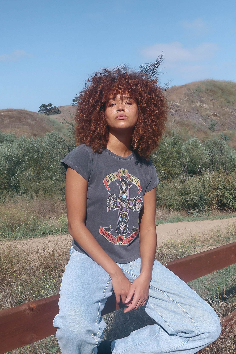 Guns N Roses Appetite For Destruction Shrunken Tee by People of Leisure