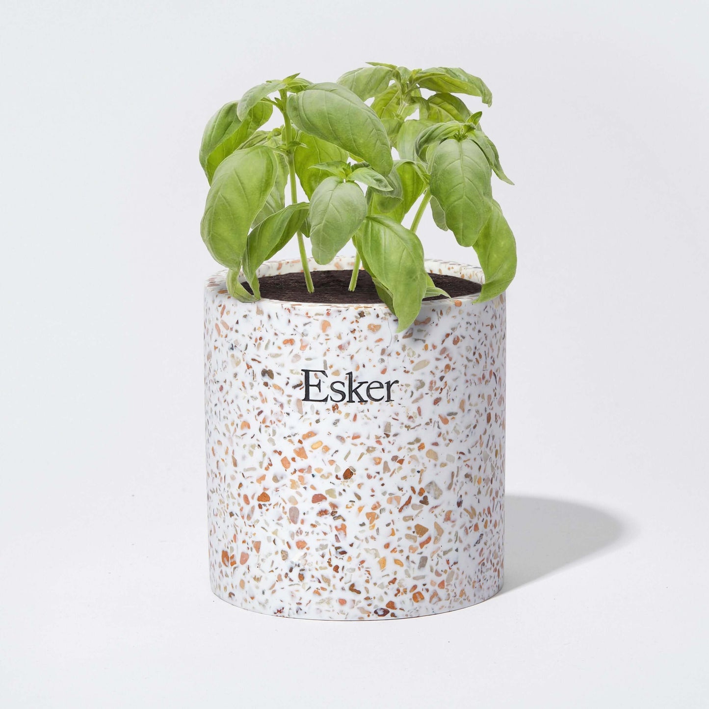 Plantable Candle - Esker