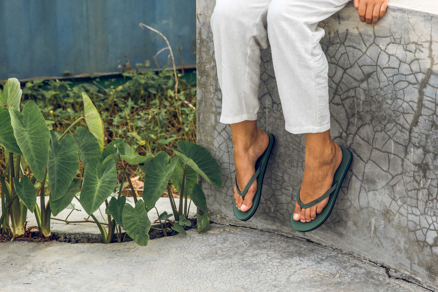 Women's Flip Flops - Leaf by Indosole